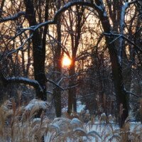 Laura A3 Paysage Polonais