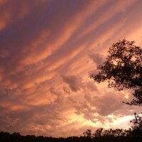 Laura A3 Crépuscule