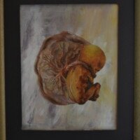 MACCAMLEY Philemon Maccamley philemon