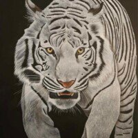 Murielle saurel tigre 115 cm haut sur 81 large