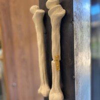 Photo 10 05 2023 17 29 57