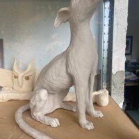 Photo 21 05 2024 12 57 23