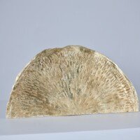 Photo 22 02 2024 16 49 00