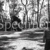 Yann harnois inde 0021