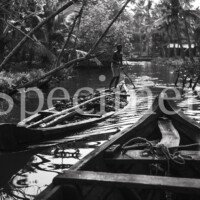 Yann harnois inde 0026