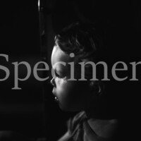 Yann harnois inde 0029