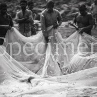 Yann harnois inde 0033